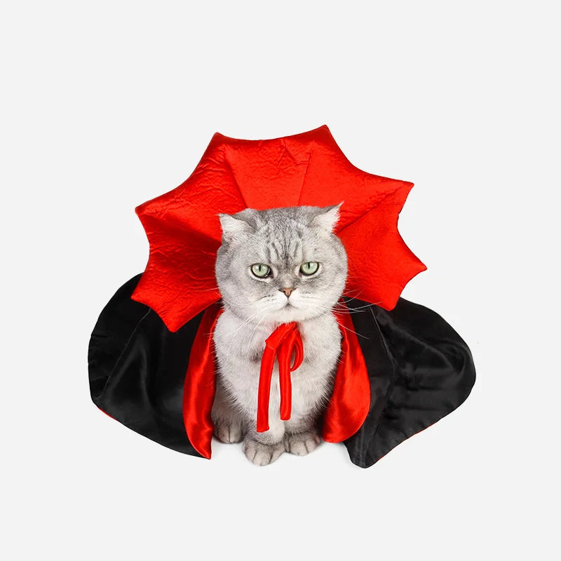 Cute Pet Halloween Costume