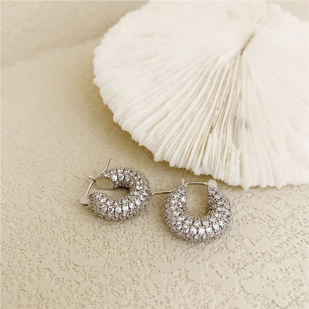 Brilliant Zirconia Hoop Earrings