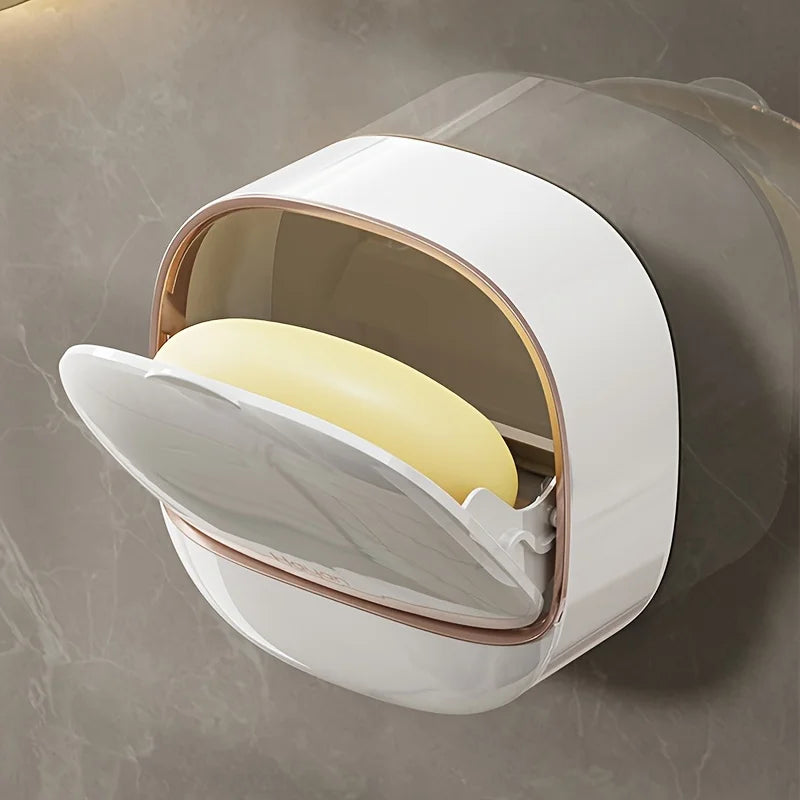 Wall Mounted Drain Soap Box