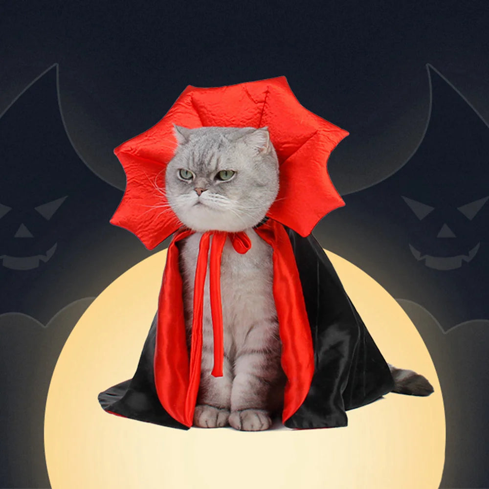 Cute Pet Halloween Costume