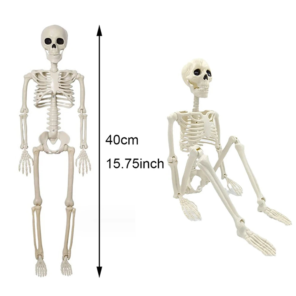 Halloween Posable Skeleton Decoration