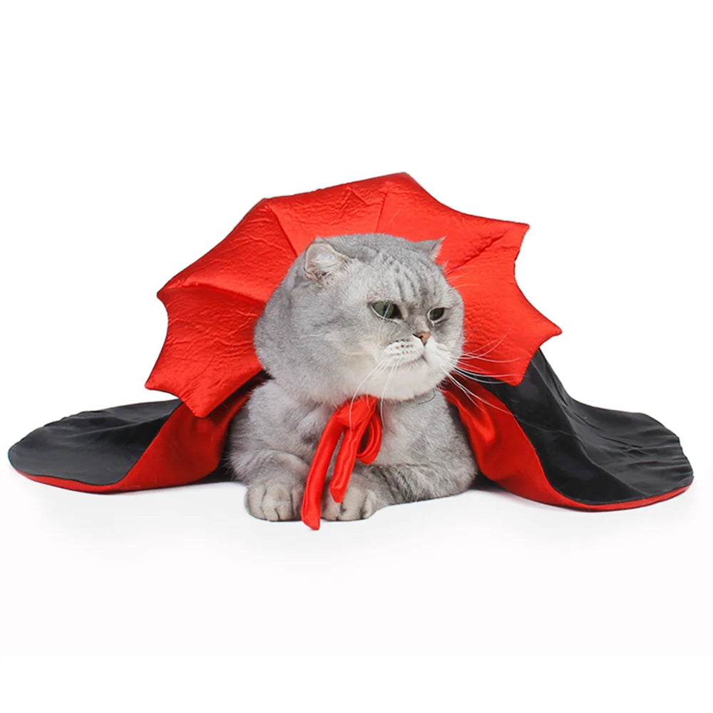 Cute Pet Halloween Costume
