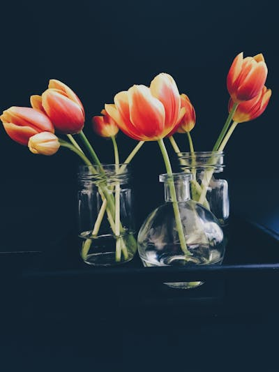 Vase Collective