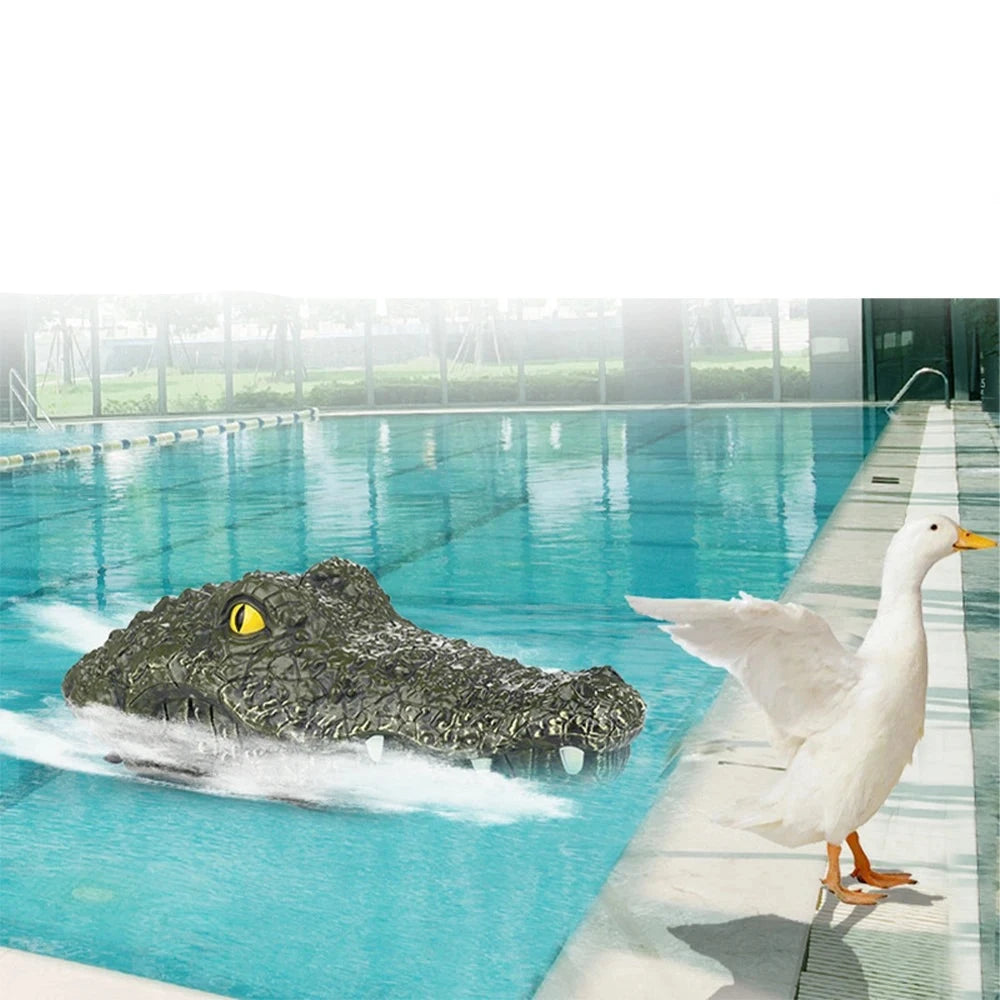 RC Crocodile Head Toy