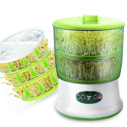 Electric Sprout Buds Germinator