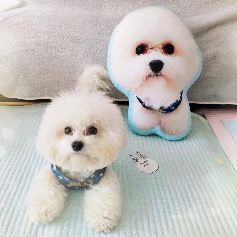 Personalized Pet Cushion