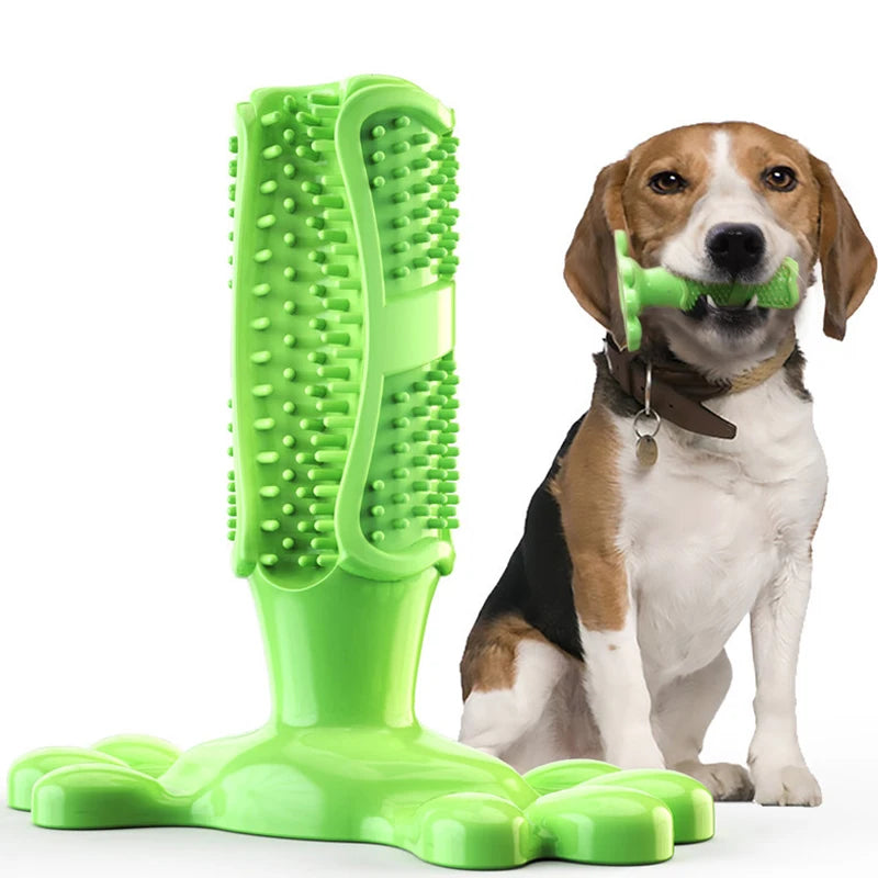 Large Dog Squeak Toy