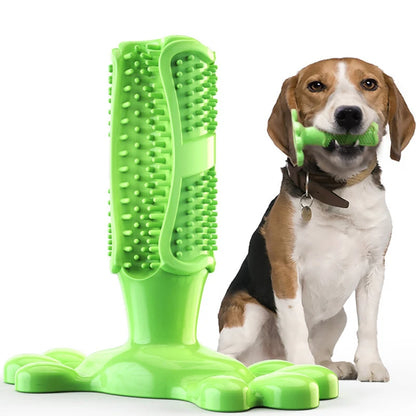 Large Dog Squeak Toy