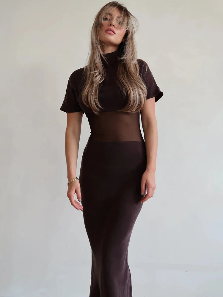Sheer Turtleneck Dress