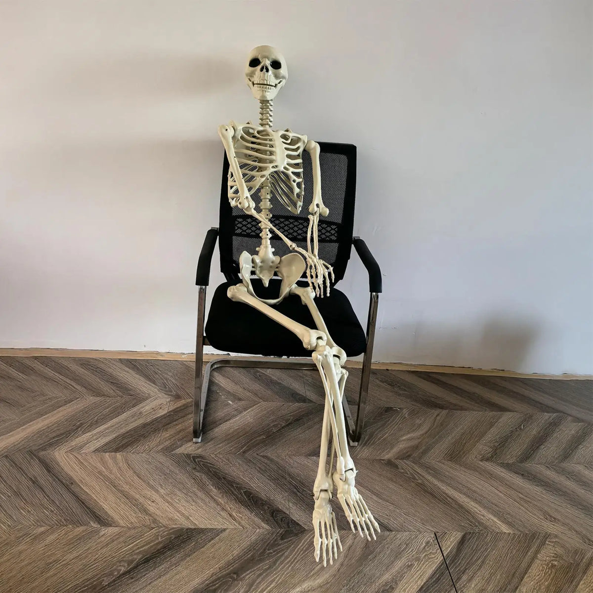 Posable Skeleton Bones Prop