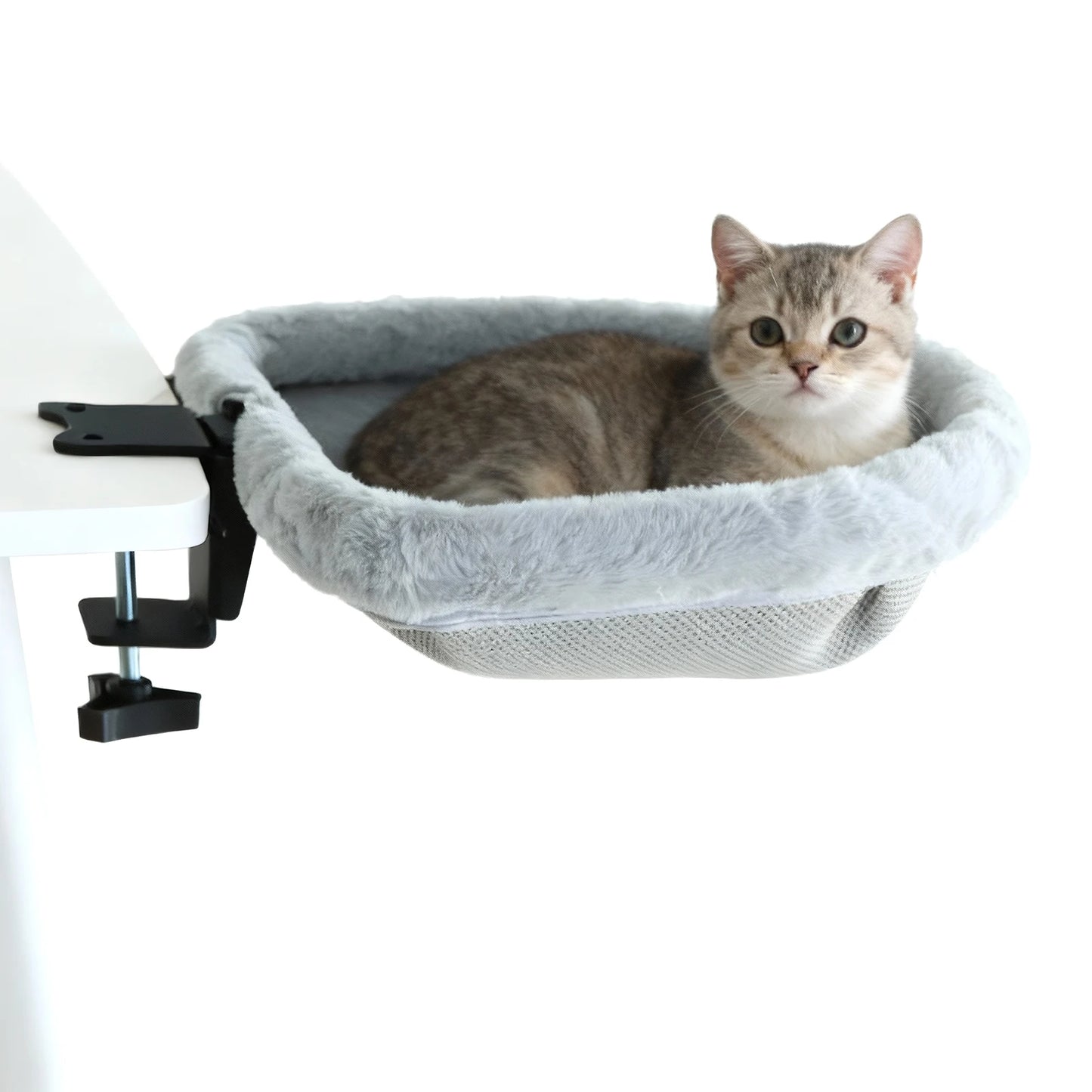 Cat Desk Bed Hammock