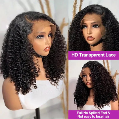Curly Lace Front Wig