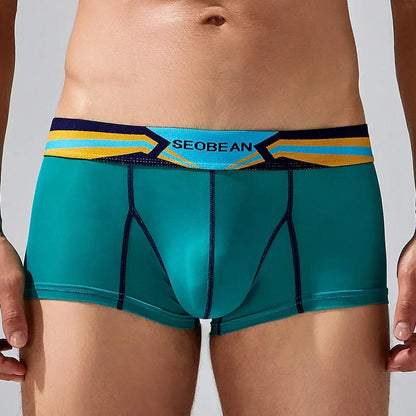 Sheer Nylon Boxers