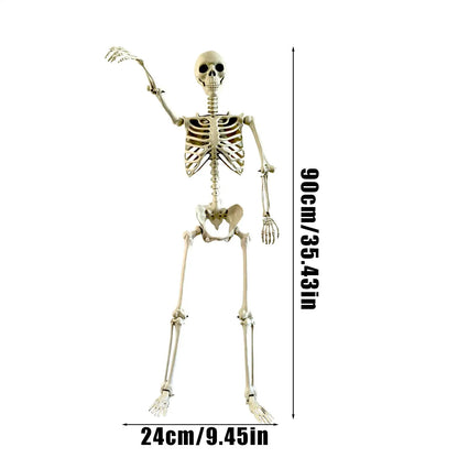 Posable Skeleton Bones Prop