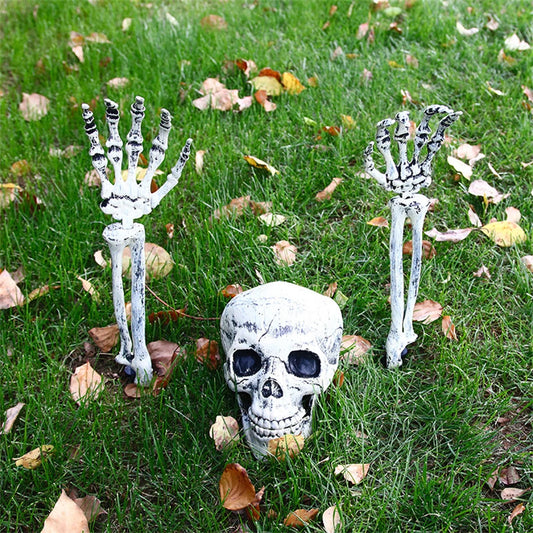 Skeleton Head and Arm Props