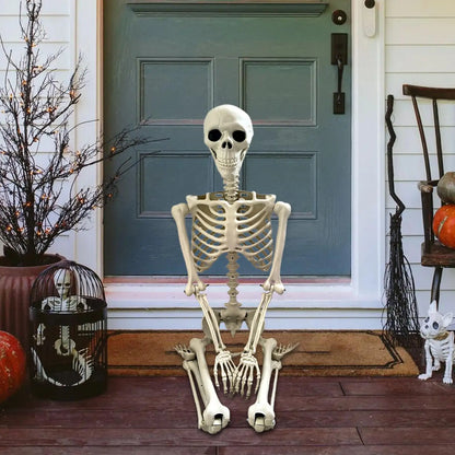 Posable Skeleton Bones Prop