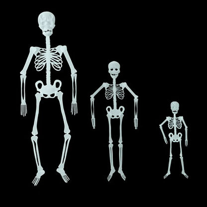 Halloween Luminous Hanging Skeleton