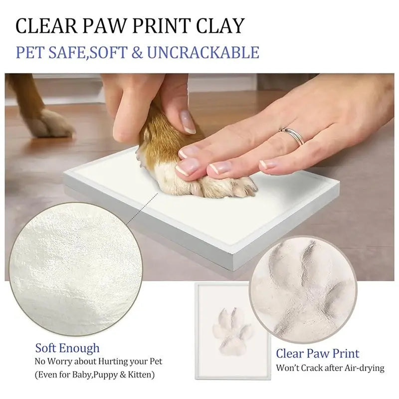 Personalized Pet Paw Frame