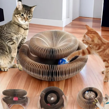 Kitten Curl Foldable Toy