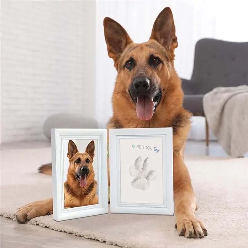 Personalized Pet Paw Frame