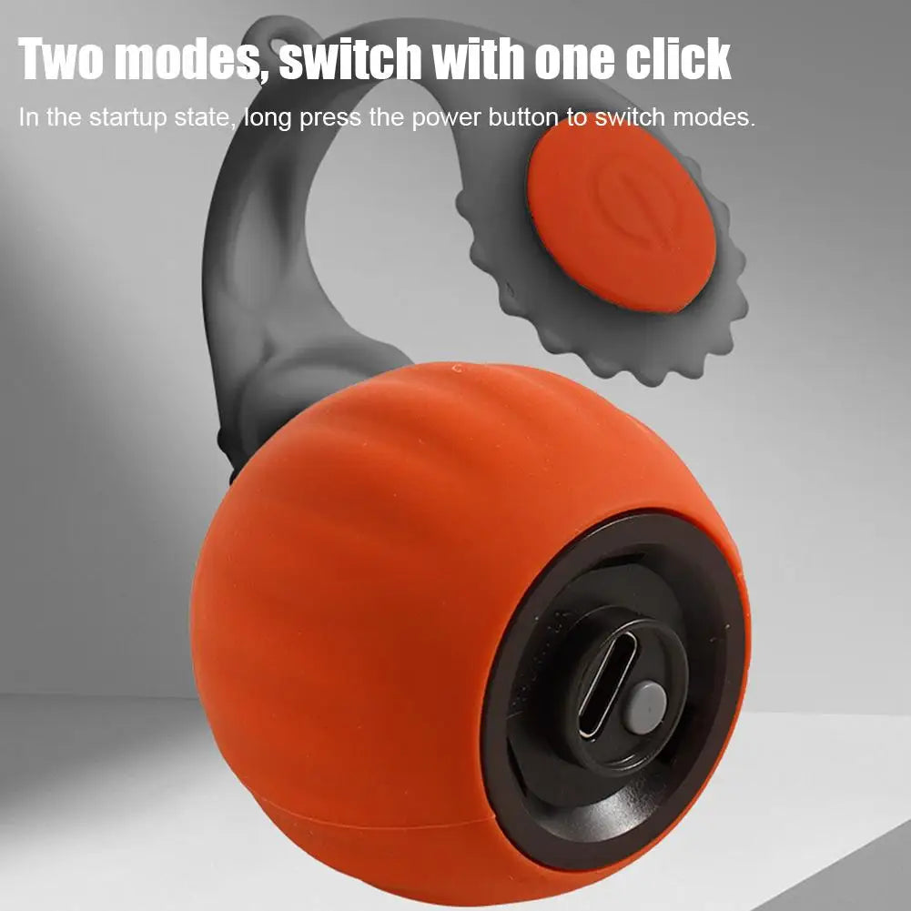 Interactive Cat Rolling Ball