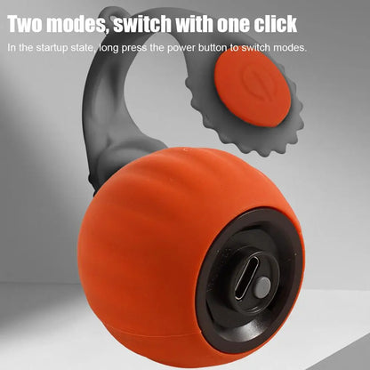 Interactive Cat Rolling Ball