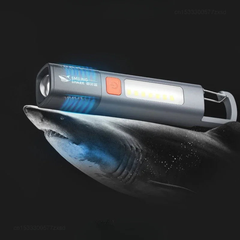 Portable High-Brightness Flashlight