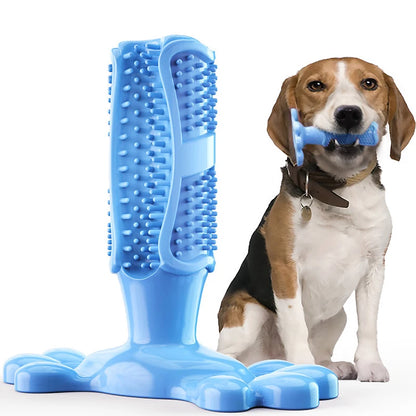 Large Dog Squeak Toy
