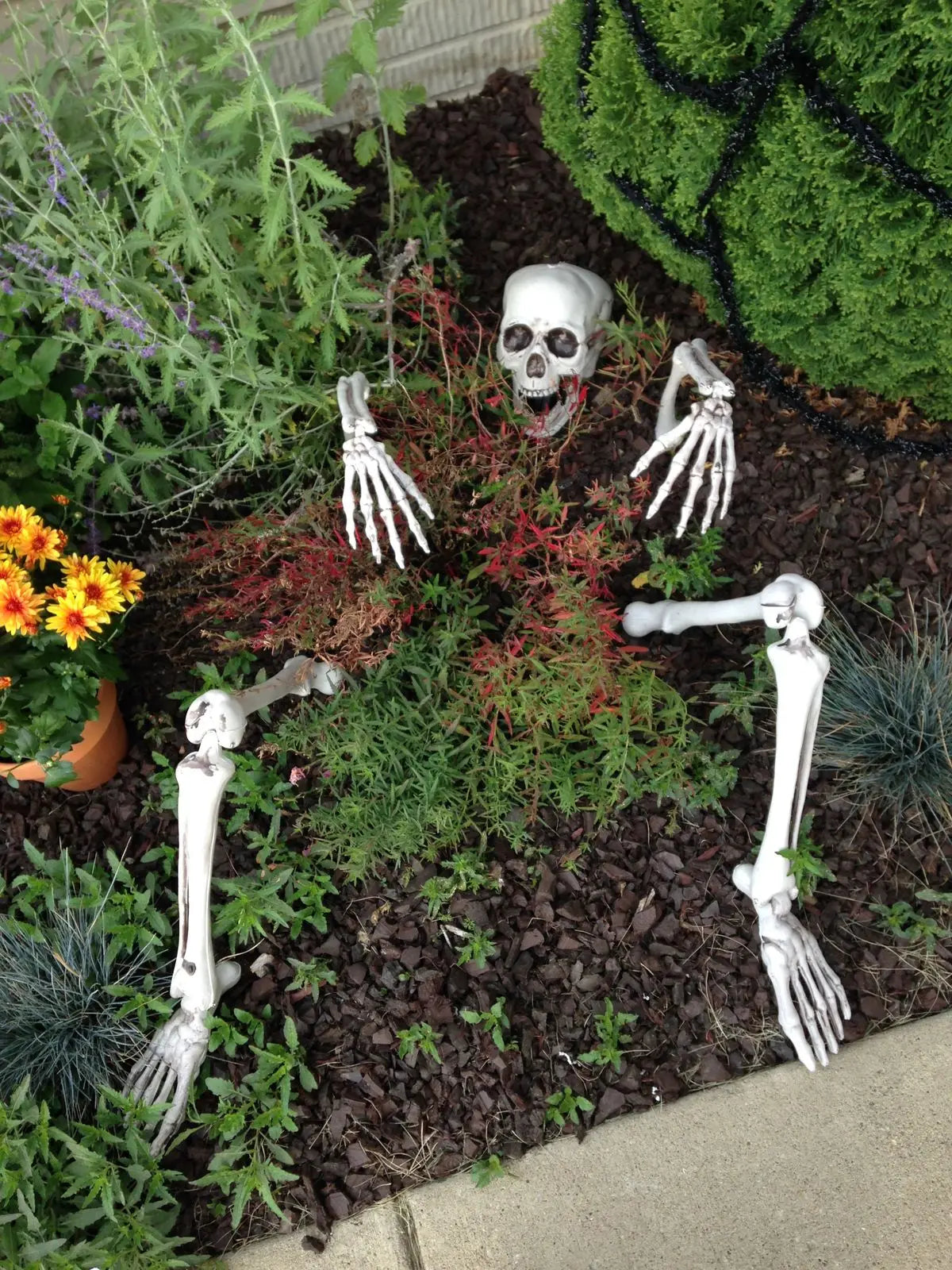 Halloween Skeleton Stakes