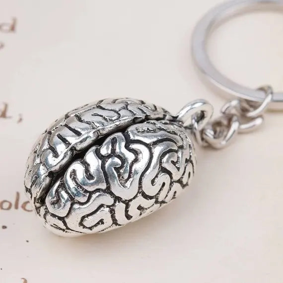 Human Brain Organs Body Parts
