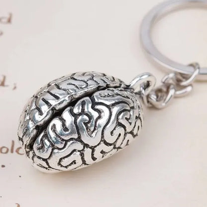 Human Brain Organs Body Parts