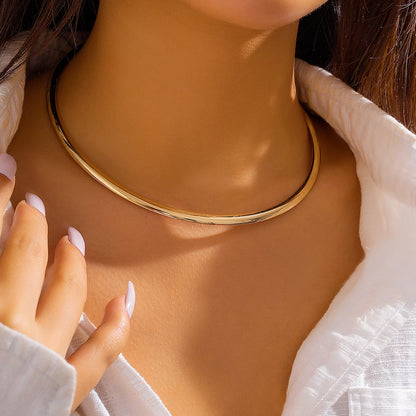 Vintage Metal Torques Choker Necklace