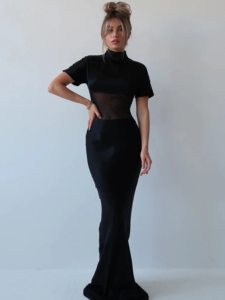 Sheer Turtleneck Dress
