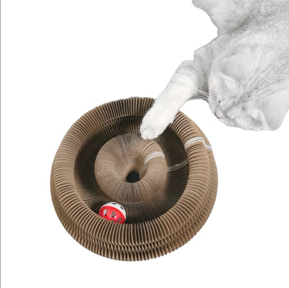 Kitten Curl Foldable Toy