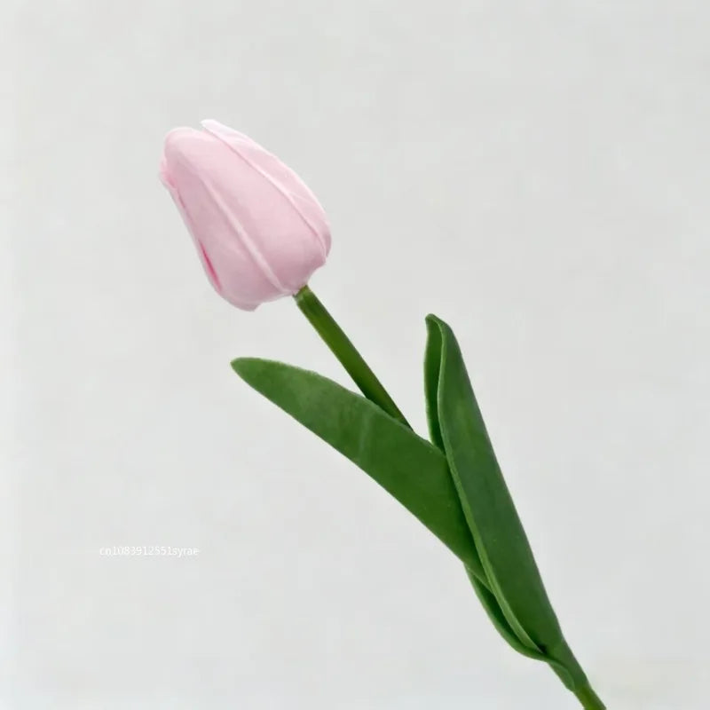 Premium Tulip Bouquet