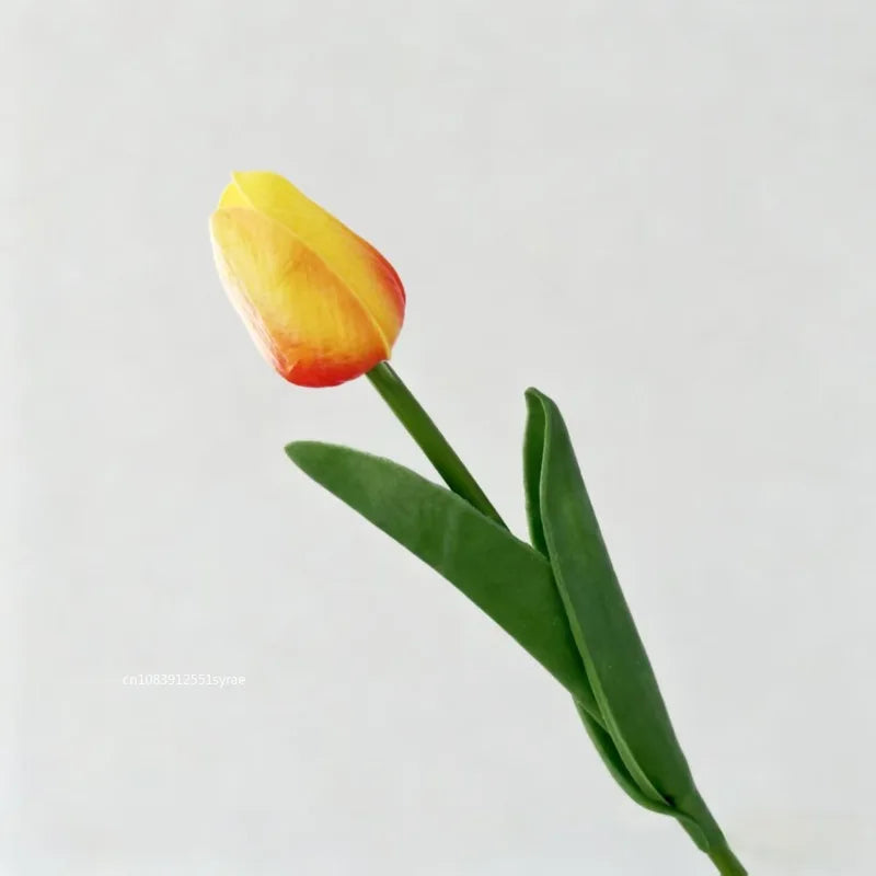 Premium Tulip Bouquet