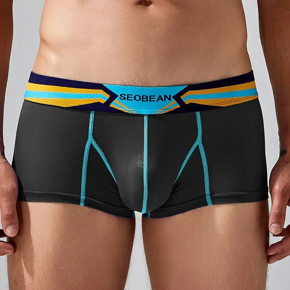 Sheer Nylon Boxers