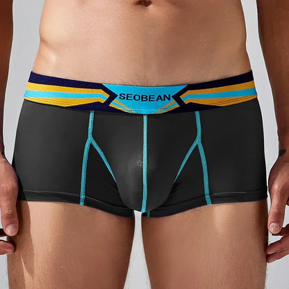 Sheer Nylon Boxers
