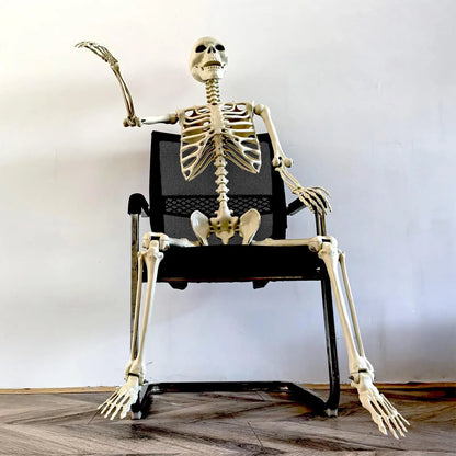 Posable Skeleton Bones Prop