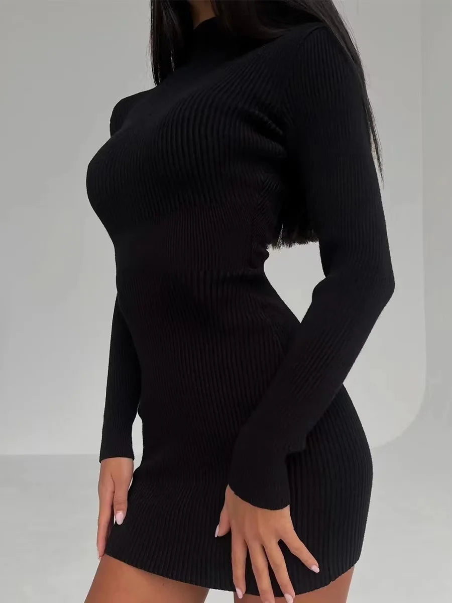 Turtleneck Mini Dress