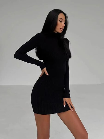 Turtleneck Mini Dress