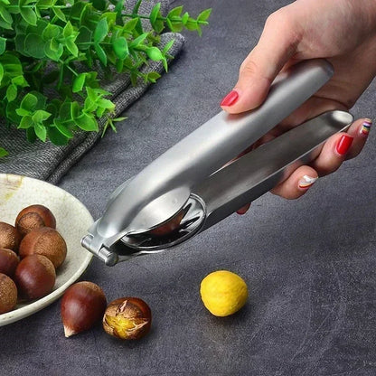 Stainless Steel Chestnut Cutter