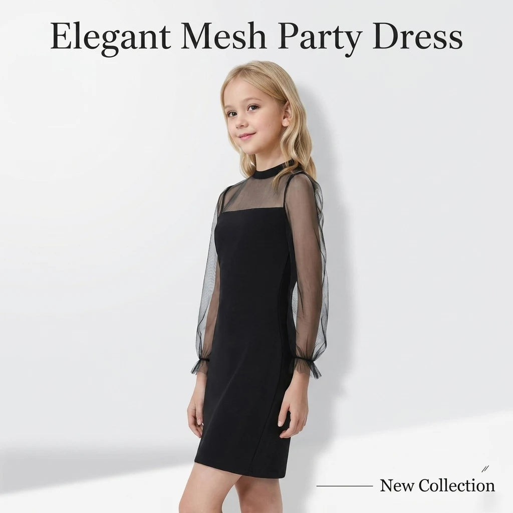 Black Mesh Dress