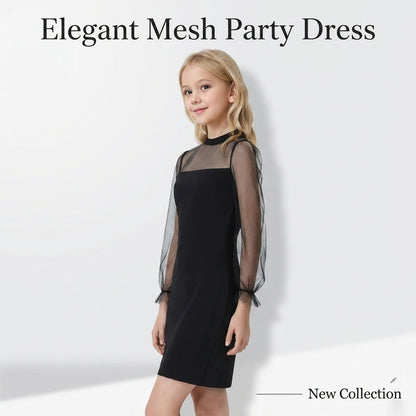 Black Mesh Dress