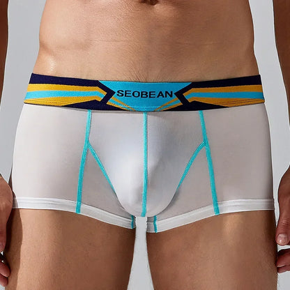 Sheer Nylon Boxers