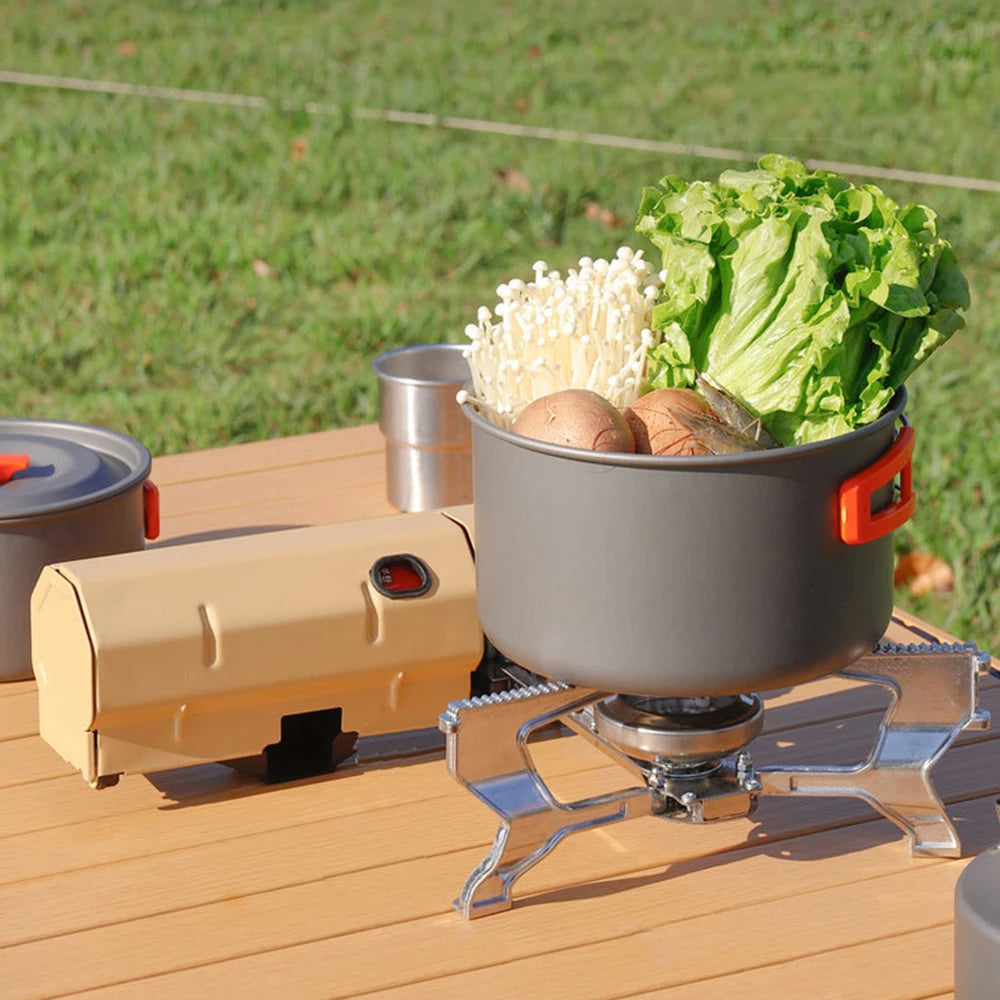 Portable Folding Gas Stove