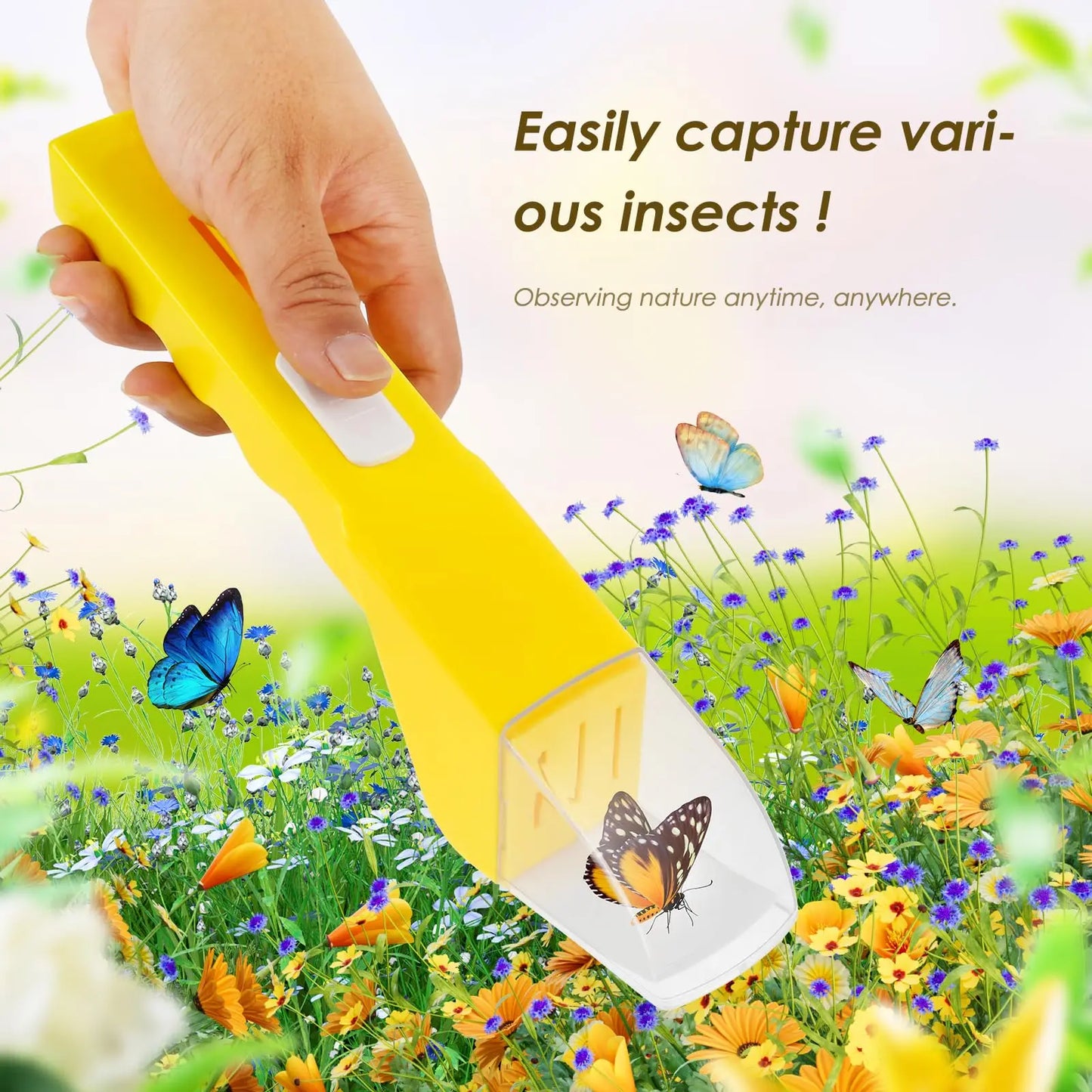 Humane Insect Catcher Tool