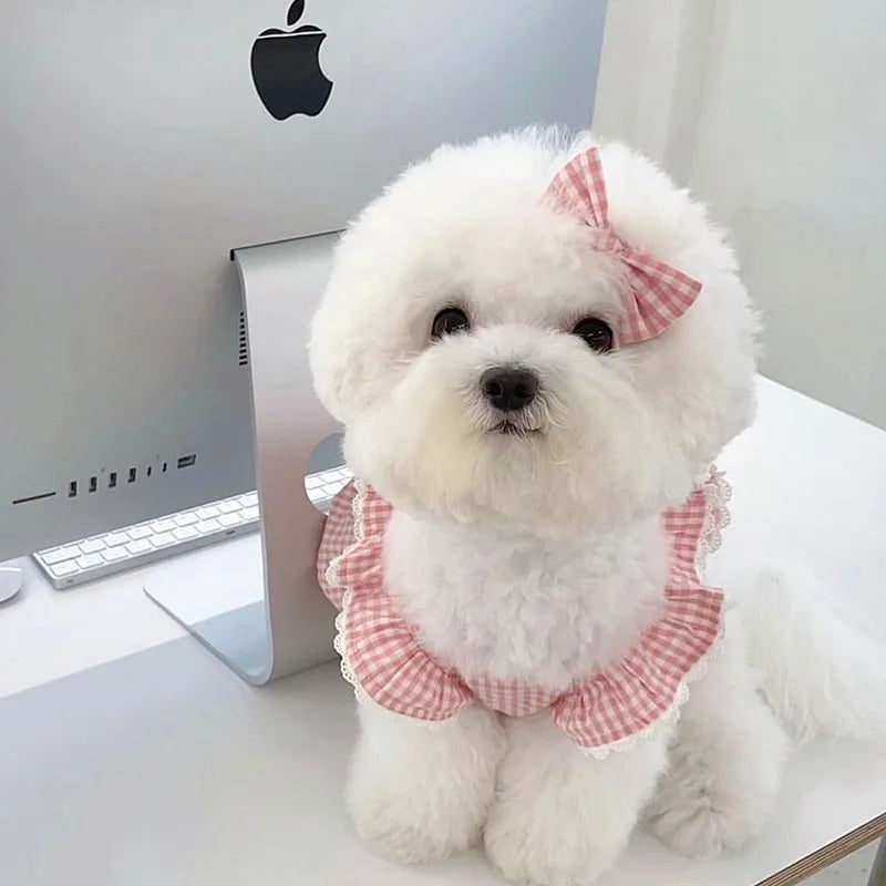 Spring Summer Pet Dress