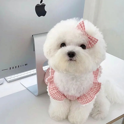 Spring Summer Pet Dress