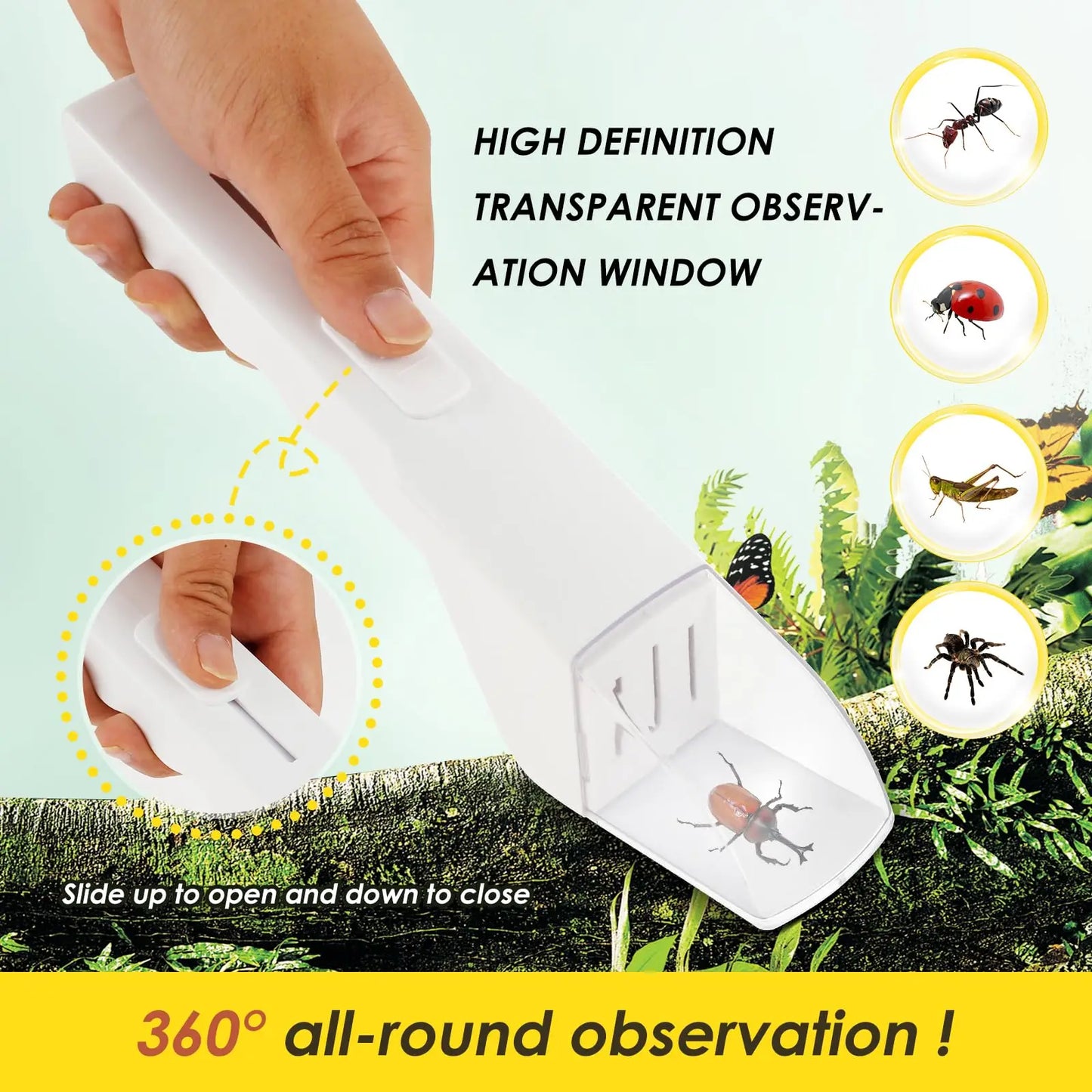 Humane Insect Catcher Tool